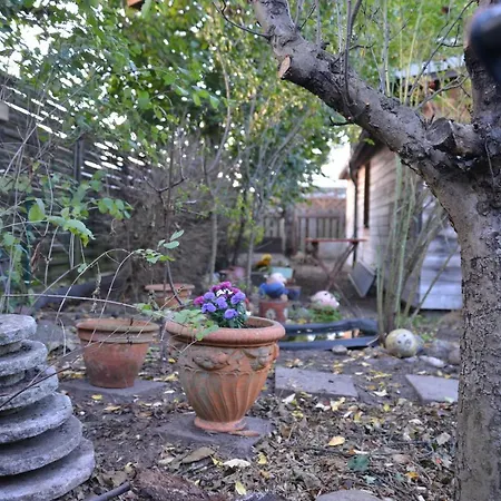 Gaestehaus Kevin Schult 招待所 3*