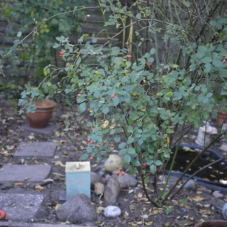 Casa de hóspedes Gaestehaus Kevin Schult