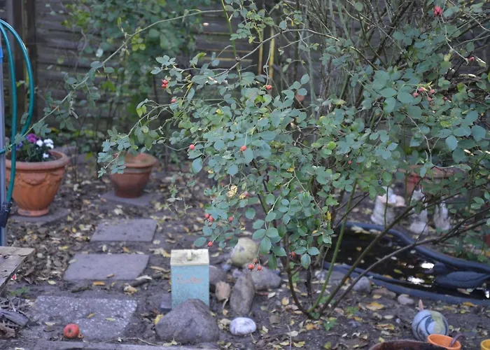 Casa de hóspedes Gaestehaus Kevin Schult